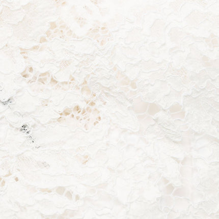 Dolce & Gabbana Sleeveless Lace Mini Dress