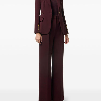 Elisabetta Franchi Sweaters Bordeaux