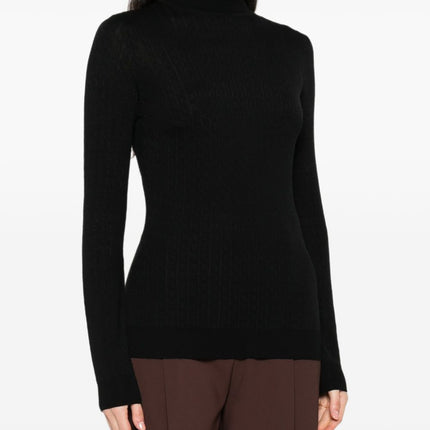 Elisabetta Franchi Sweaters Black